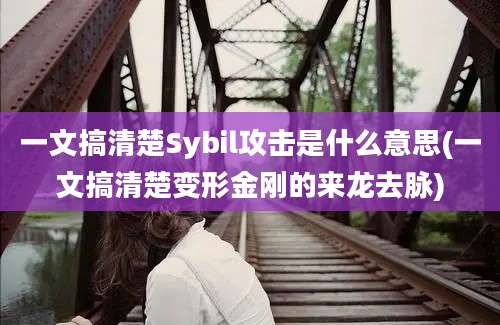 一文搞清楚Sybil攻击是什么意思(一文搞清楚变形金刚的来龙去脉)