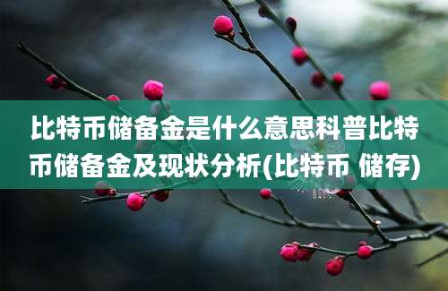 比特币储备金是什么意思科普比特币储备金及现状分析(比特币 储存)