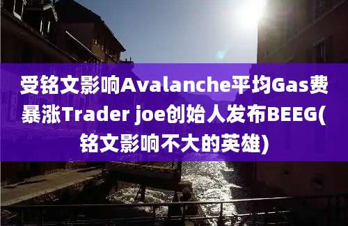 受铭文影响Avalanche平均Gas费暴涨Trader joe创始人发布BEEG(铭文影响不大的英雄)