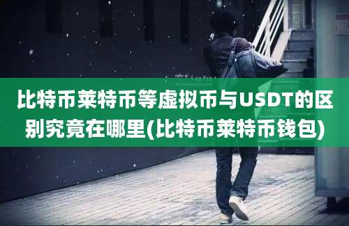 比特币莱特币等虚拟币与USDT的区别究竟在哪里(比特币莱特币钱包)