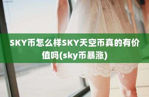 SKY币怎么样SKY天空币真的有价值吗(sky币暴涨)