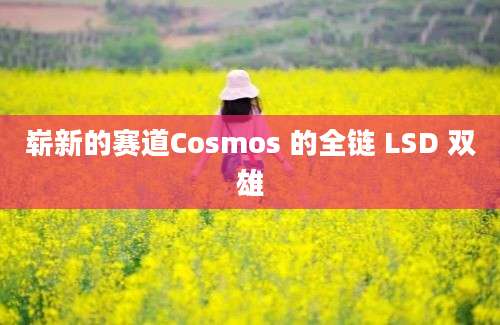 崭新的赛道Cosmos 的全链 LSD 双雄