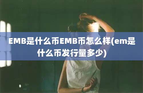 EMB是什么币EMB币怎么样(em是什么币发行量多少)