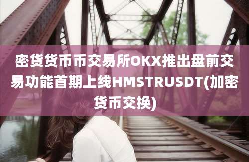 密货货币币交易所OKX推出盘前交易功能首期上线HMSTRUSDT(加密货币交换)