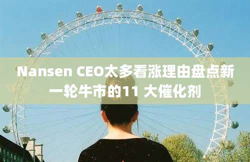 Nansen CEO太多看涨理由盘点新一轮牛市的11 大催化剂