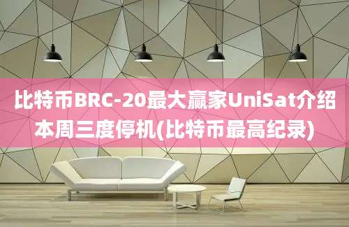 比特币BRC-20最大赢家UniSat介绍本周三度停机(比特币最高纪录)