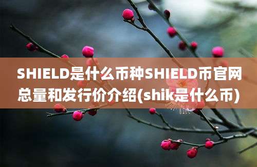 SHIELD是什么币种SHIELD币官网总量和发行价介绍(shik是什么币)