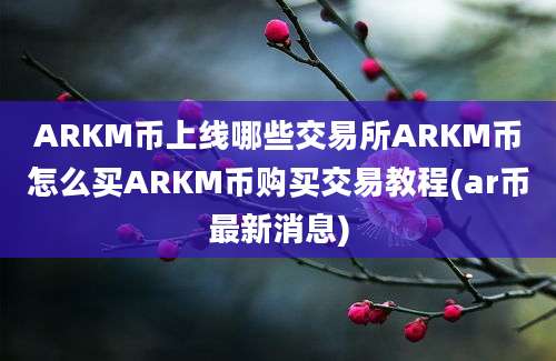 ARKM币上线哪些交易所ARKM币怎么买ARKM币购买交易教程(ar币最新消息)