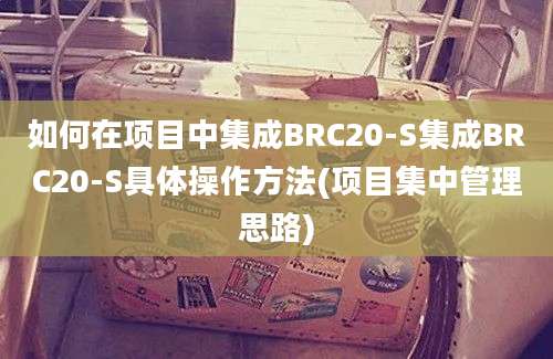 如何在项目中集成BRC20-S集成BRC20-S具体操作方法(项目集中管理思路)