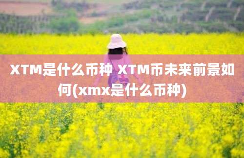 XTM是什么币种 XTM币未来前景如何(xmx是什么币种)