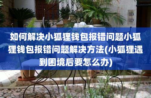 如何解决小狐狸钱包报错问题小狐狸钱包报错问题解决方法(小狐狸遇到困境后要怎么办)