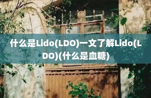 什么是Lido(LDO)一文了解Lido(LDO)(什么是血糖)