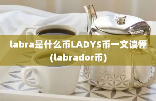 labra是什么币LADYS币一文读懂(labrador币)