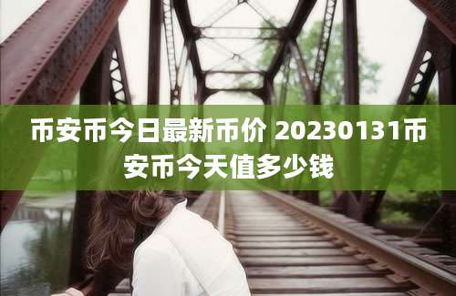 币安币今日最新币价 20230131币安币今天值多少钱