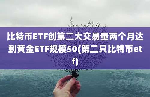 比特币ETF创第二大交易量两个月达到黄金ETF规模50(第二只比特币etf)