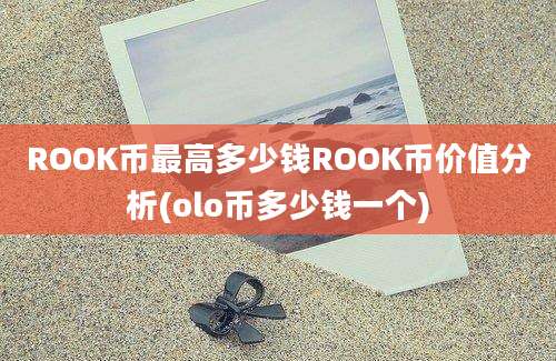 ROOK币最高多少钱ROOK币价值分析(olo币多少钱一个)