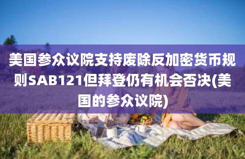 美国参众议院支持废除反加密货币规则SAB121但拜登仍有机会否决(美国的参众议院)