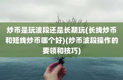 炒币是玩波段还是长期玩(长线炒币和短线炒币哪个好)(炒币波段操作的要领和技巧)