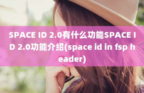 SPACE ID 2.0有什么功能SPACE ID 2.0功能介绍(space id in fsp header)