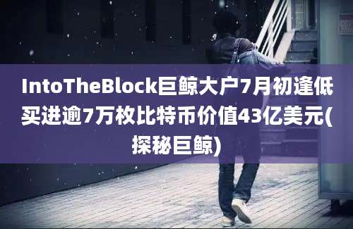 IntoTheBlock巨鲸大户7月初逢低买进逾7万枚比特币价值43亿美元(探秘巨鲸)