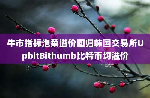 牛市指标泡菜溢价回归韩国交易所UpbitBithumb比特币均溢价