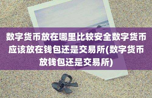 数字货币放在哪里比较安全数字货币应该放在钱包还是交易所(数字货币放钱包还是交易所)