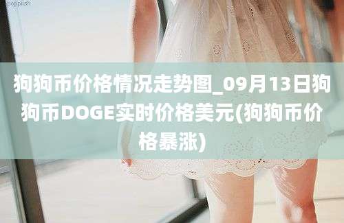 狗狗币价格情况走势图_09月13日狗狗币DOGE实时价格美元(狗狗币价格暴涨)