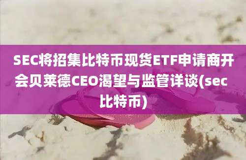 SEC将招集比特币现货ETF申请商开会贝莱德CEO渴望与监管详谈(sec 比特币)