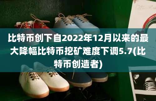 比特币创下自2022年12月以来的最大降幅比特币挖矿难度下调5.7(比特币创造者)