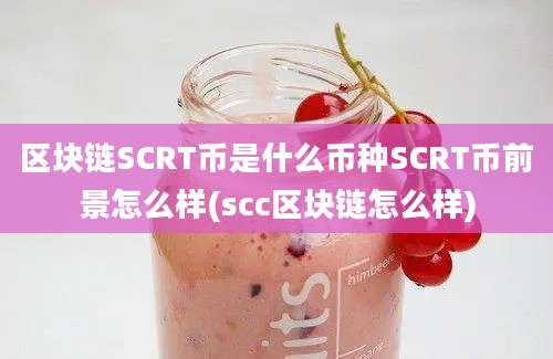 区块链SCRT币是什么币种SCRT币前景怎么样(scc区块链怎么样)