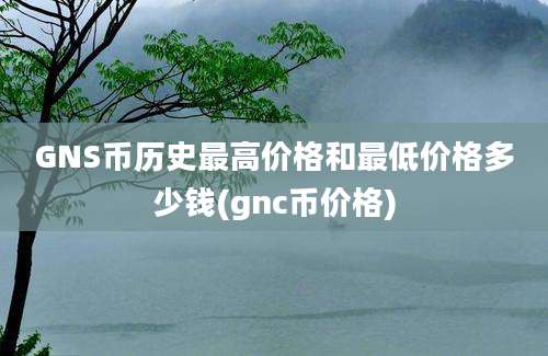 GNS币历史最高价格和最低价格多少钱(gnc币价格)