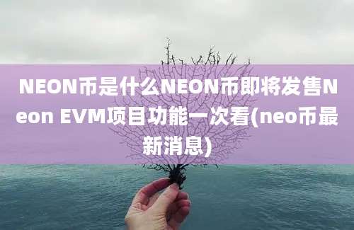 NEON币是什么NEON币即将发售Neon EVM项目功能一次看(neo币最新消息)