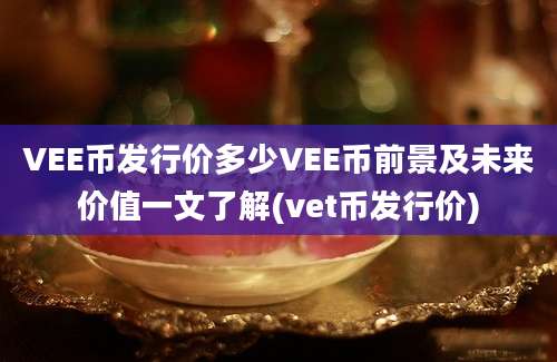 VEE币发行价多少VEE币前景及未来价值一文了解(vet币发行价)