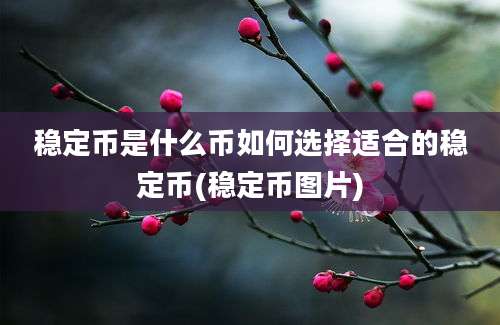 稳定币是什么币如何选择适合的稳定币(稳定币图片)