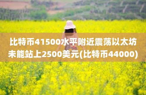 比特币41500水平附近震荡以太坊未能站上2500美元(比特币44000)