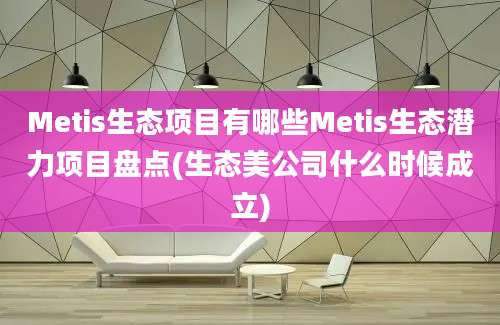 Metis生态项目有哪些Metis生态潜力项目盘点(生态美公司什么时候成立)