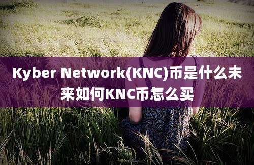 Kyber Network(KNC)币是什么未来如何KNC币怎么买