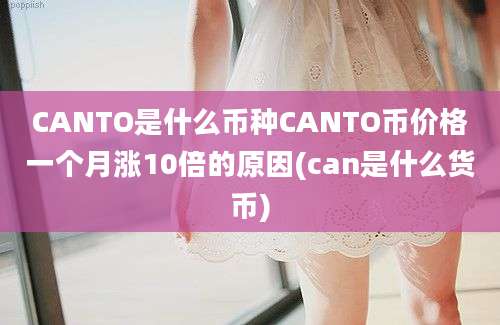 CANTO是什么币种CANTO币价格一个月涨10倍的原因(can是什么货币)