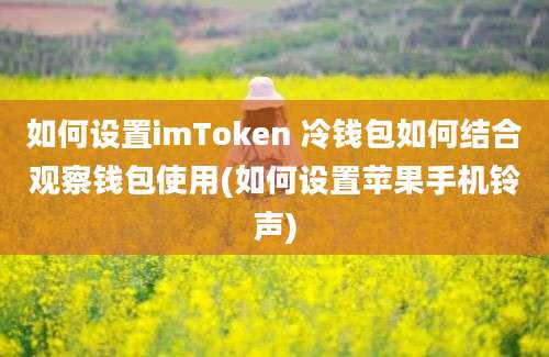 如何设置imToken 冷钱包如何结合观察钱包使用(如何设置苹果手机铃声)