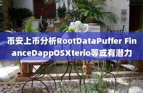 币安上币分析RootDataPuffer FinanceDappOSXterio等或有潜力