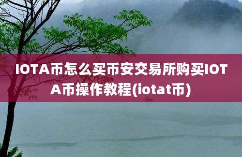 IOTA币怎么买币安交易所购买IOTA币操作教程(iotat币)