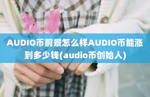 AUDIO币前景怎么样AUDIO币能涨到多少钱(audio币创始人)