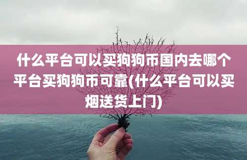 什么平台可以买狗狗币国内去哪个平台买狗狗币可靠(什么平台可以买烟送货上门)