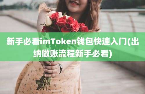 新手必看imToken钱包快速入门(出纳做账流程新手必看)