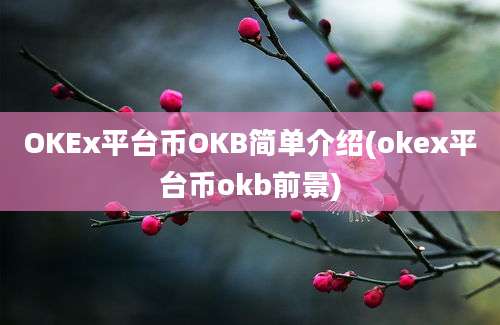 OKEx平台币OKB简单介绍(okex平台币okb前景)