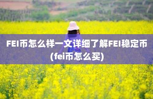 FEI币怎么样一文详细了解FEI稳定币(fei币怎么买)