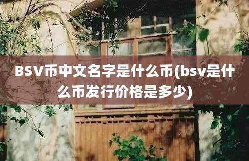 BSV币中文名字是什么币(bsv是什么币发行价格是多少)