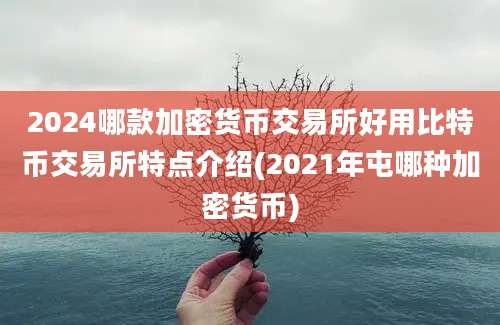 2024哪款加密货币交易所好用比特币交易所特点介绍(2021年屯哪种加密货币)