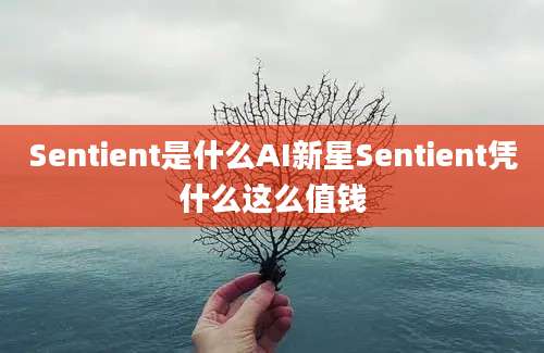 Sentient是什么AI新星Sentient凭什么这么值钱