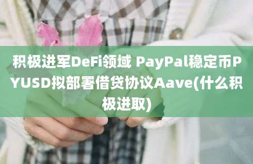 积极进军DeFi领域 PayPal稳定币PYUSD拟部署借贷协议Aave(什么积极进取)